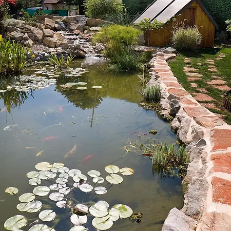 Hotel Logis L'embarcadere 3*